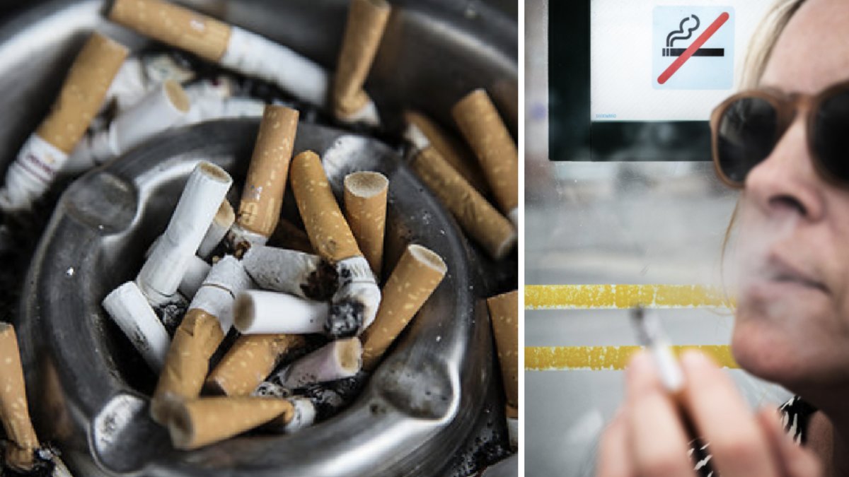 Det kommunala bostadsbolaget i Malmö kräver en utflyttad rökare på 337 000 kronor. 